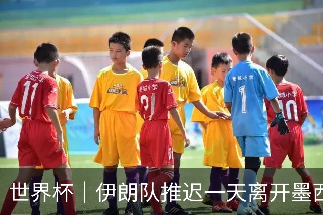世界杯｜伊朗队推迟一天离开墨西哥回国