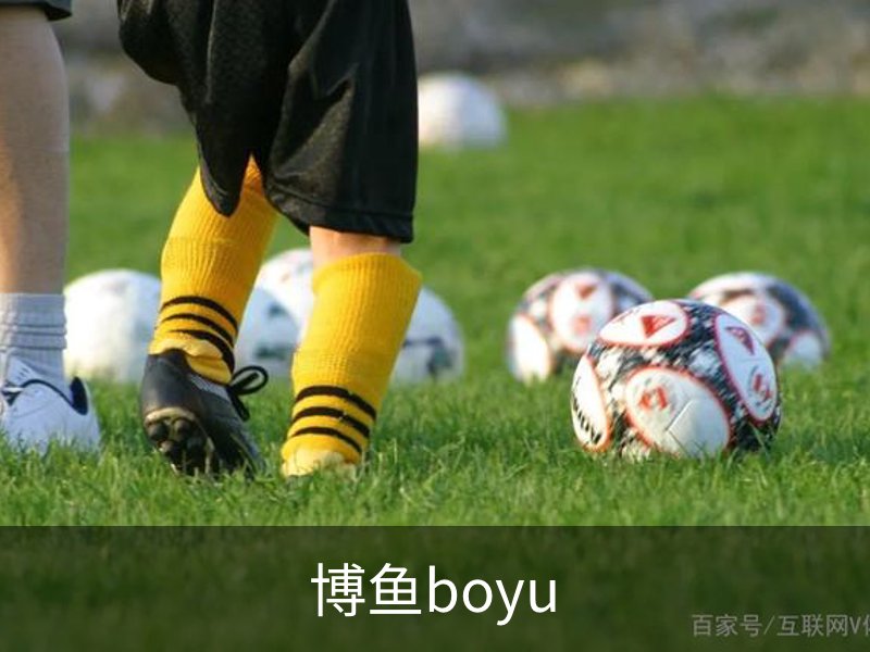 了解博鱼boyu