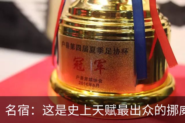 名宿：这是史上天赋最出众的挪威队 哈兰德每年都在突破个人上限